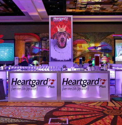 Finished corporate event environment built by Florida Event Decor