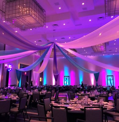 Tropical welcome lounge reception